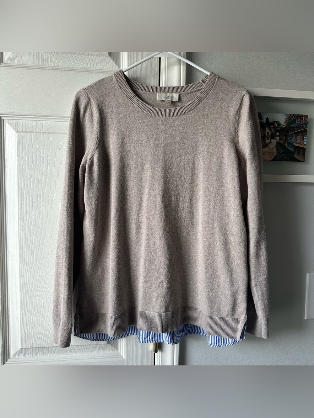 Cute Loft Sweater
